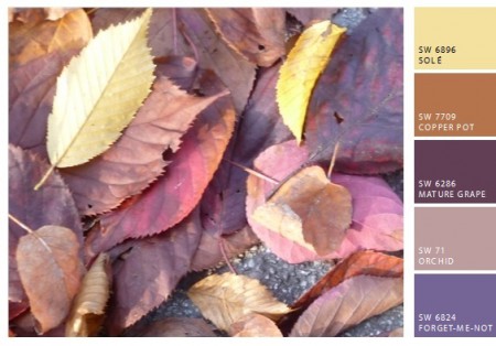 Edith - Herbstbilder Blätter 1tmpSnapShot