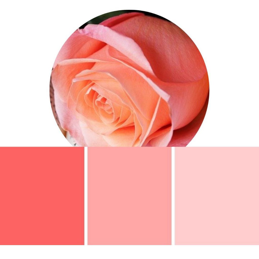 Pink Und Rosa Schöne Röcke von Joyvita in Pink und Rosa | Gute Mode macht gute Laune!