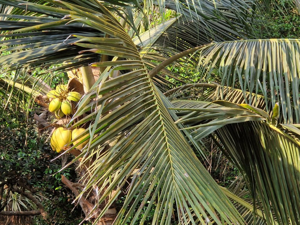 Joyvita - Unsere Werkstätten in Indien