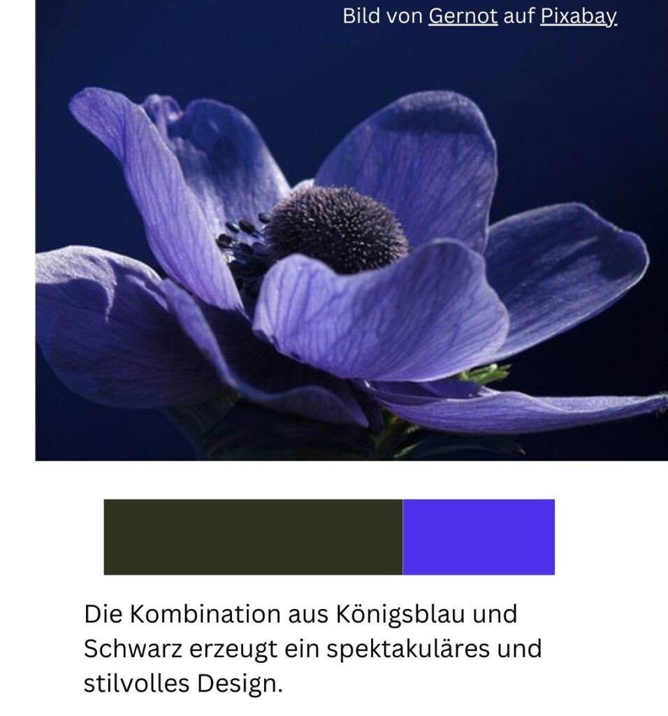 Farbpalette königsblau mit schwarz