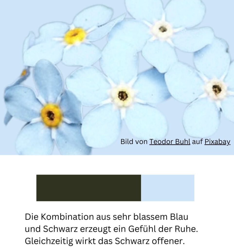 Farbpalette helles blau und schwarz