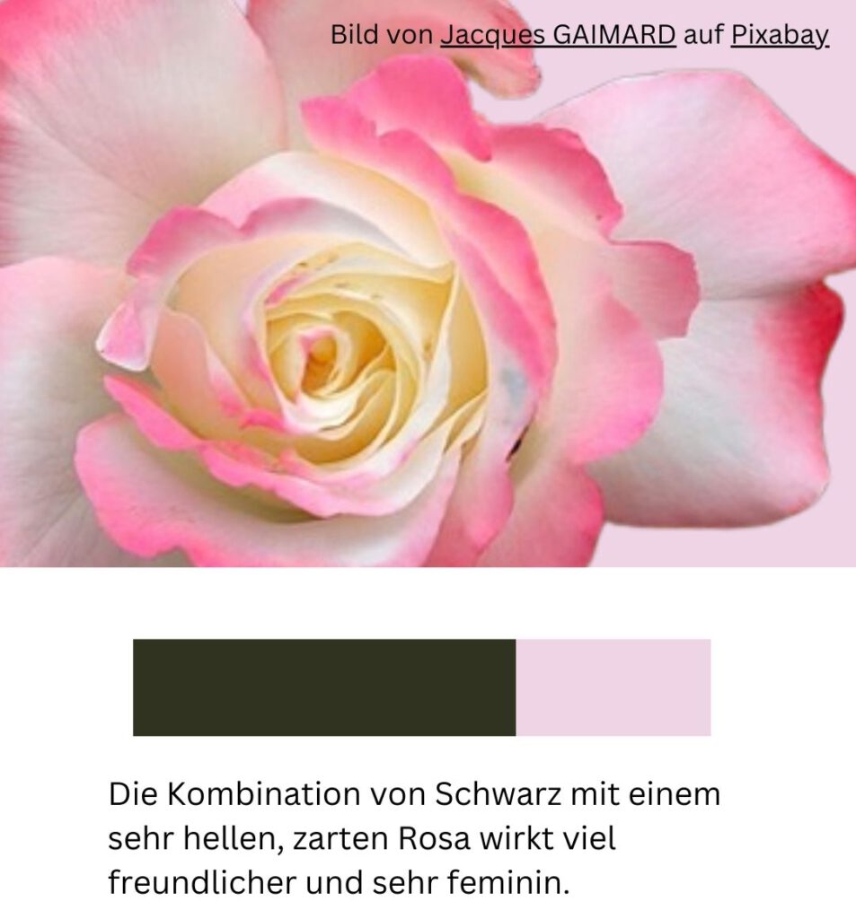 Color Farbpalette rosa und schwarz