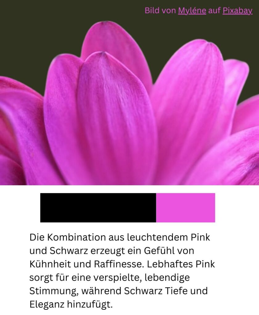 Farbpalette pink mit schwarz